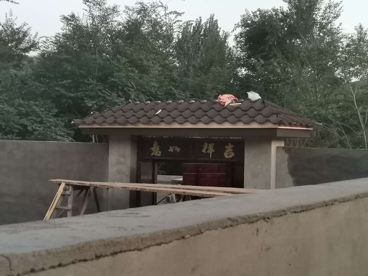 羅馬案例